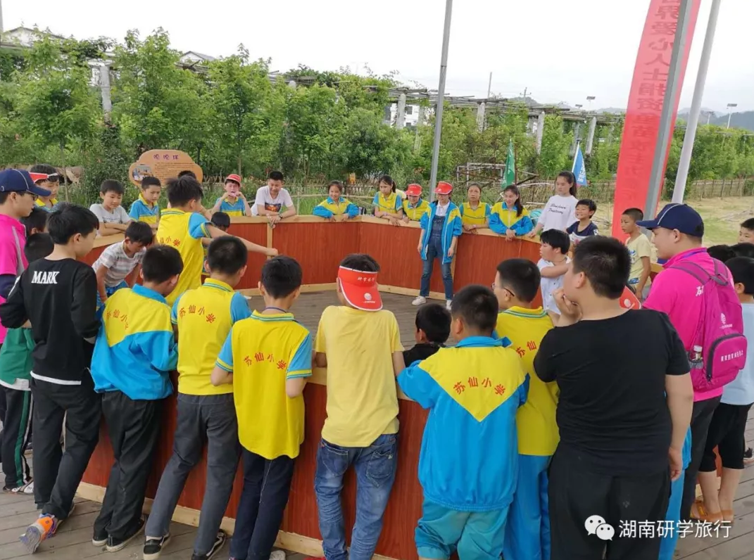 嘎嘎球，競技與協作同在